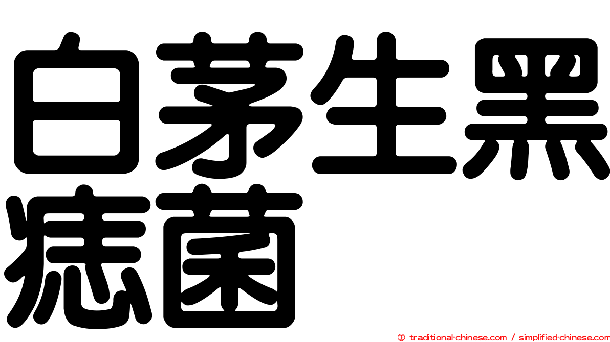白茅生黑痣菌