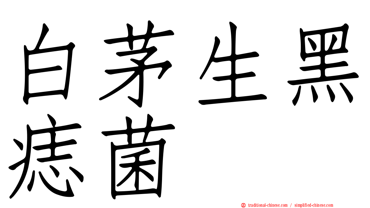 白茅生黑痣菌