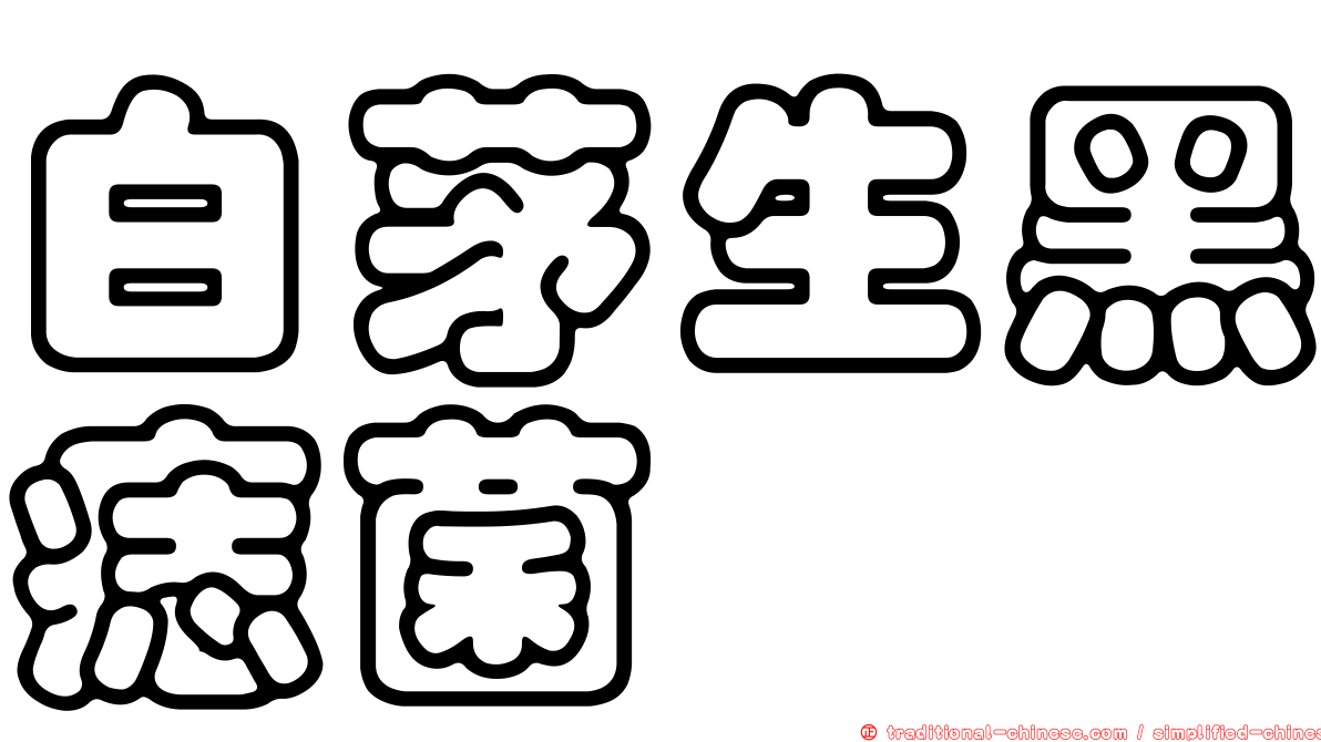 白茅生黑痣菌