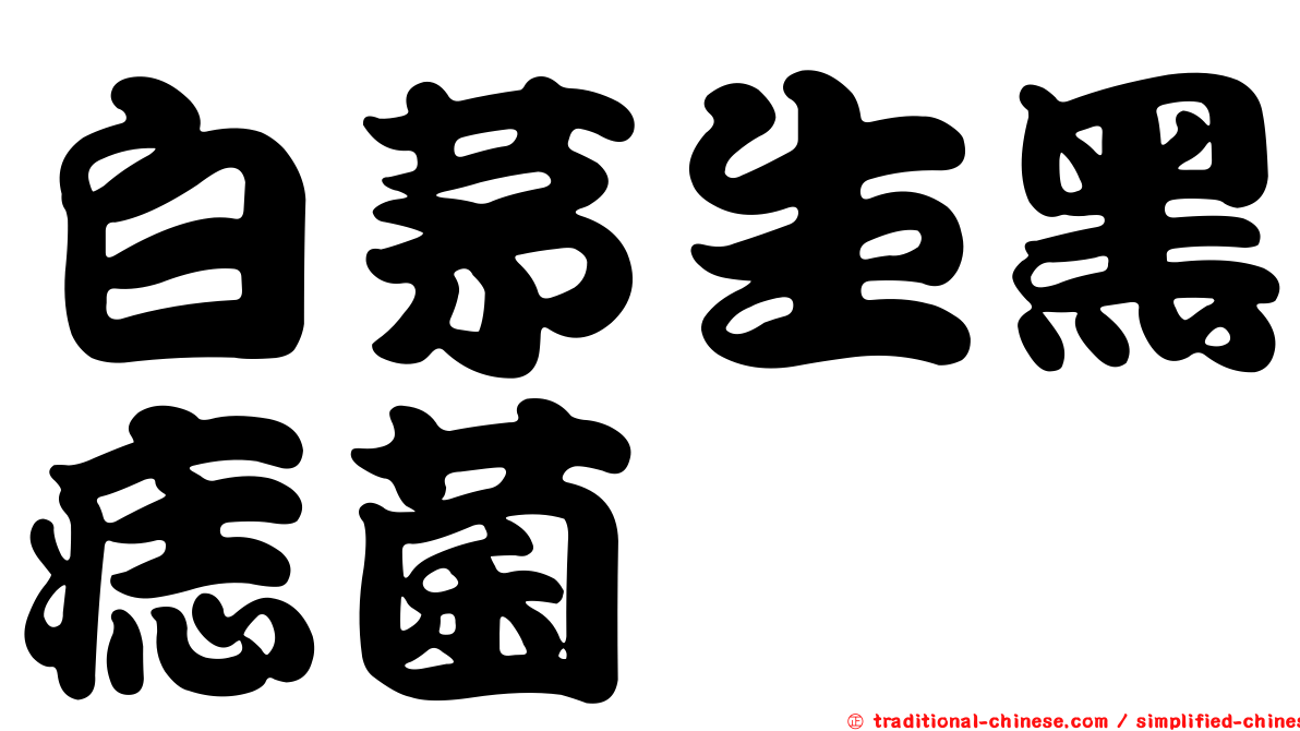 白茅生黑痣菌