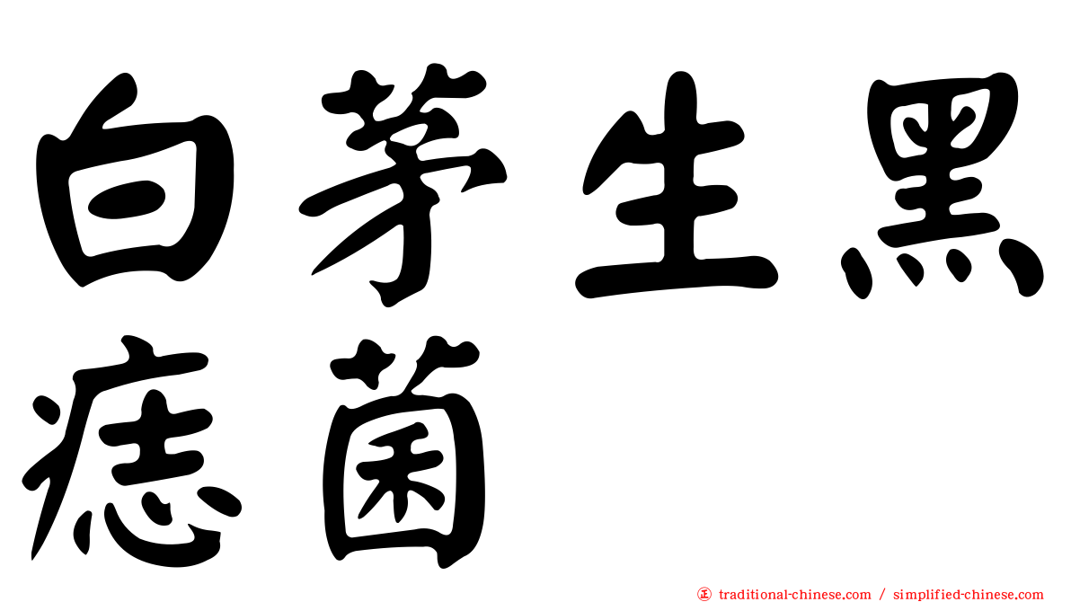 白茅生黑痣菌