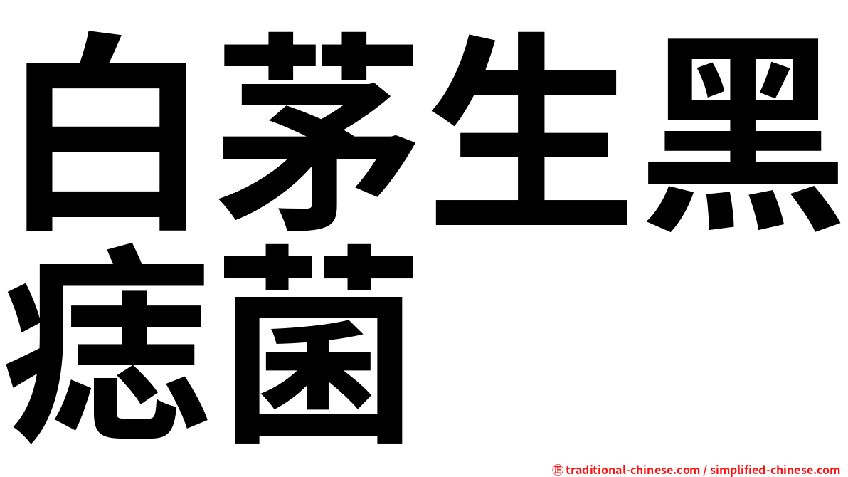 白茅生黑痣菌