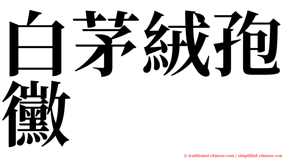 白茅絨孢黴 serif font