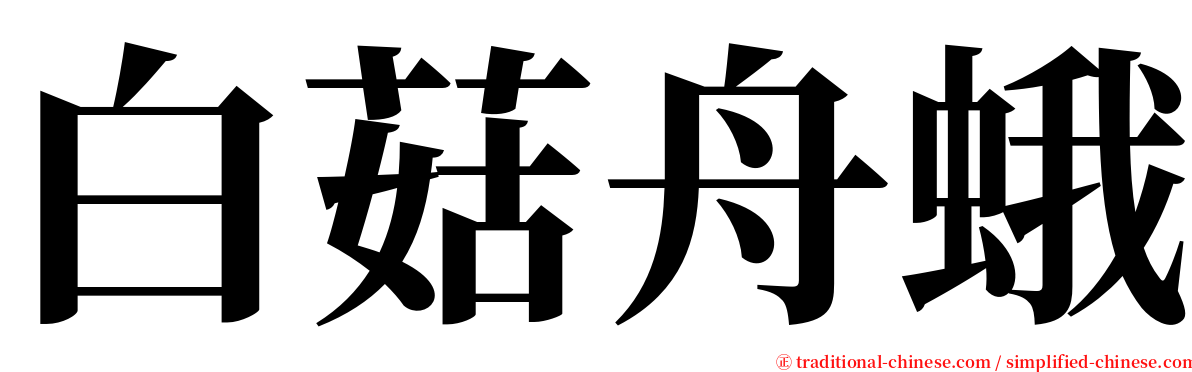 白菇舟蛾 serif font
