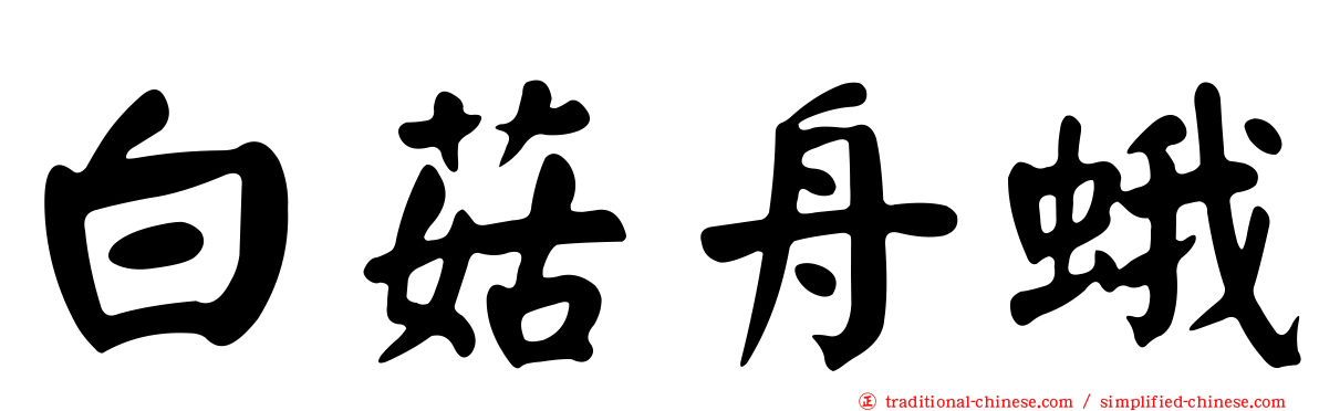 白菇舟蛾