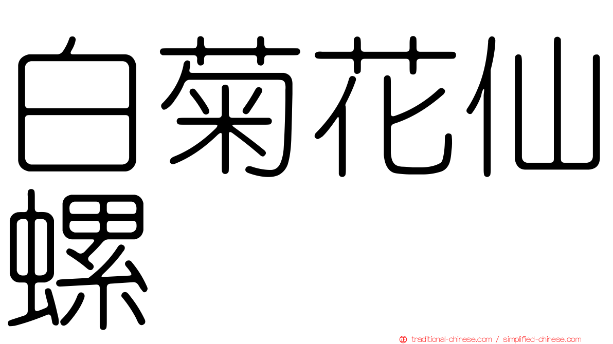 白菊花仙螺