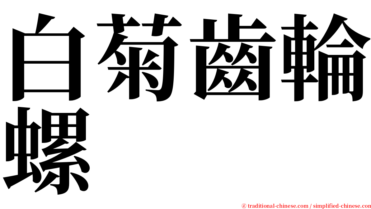 白菊齒輪螺 serif font