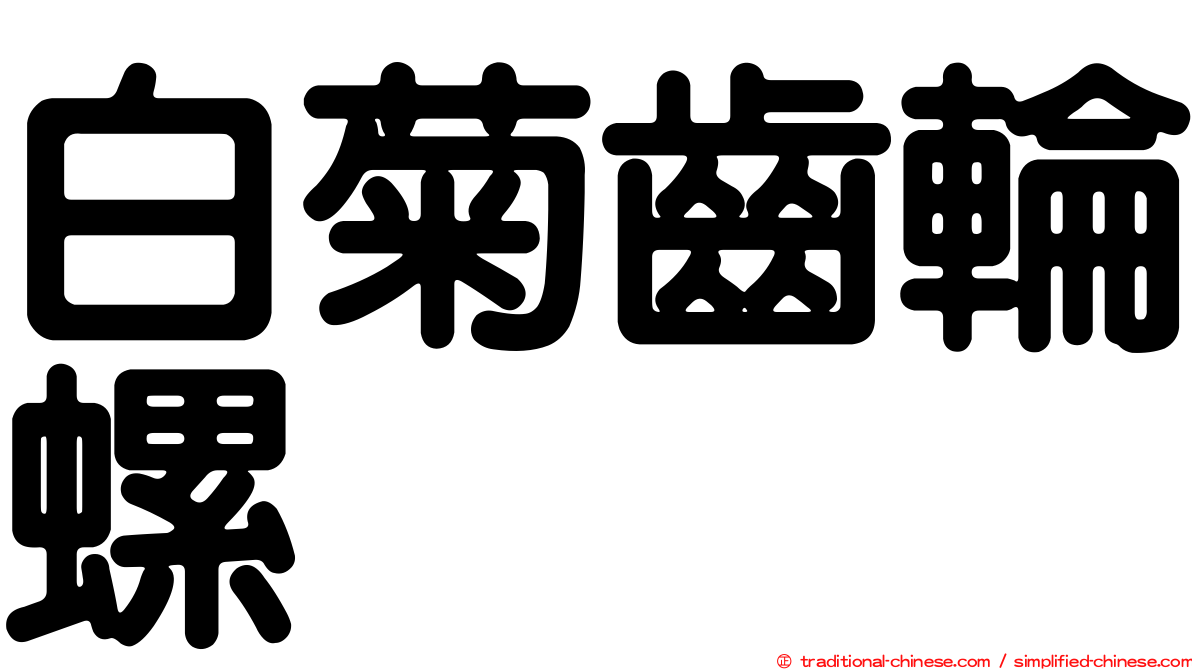 白菊齒輪螺