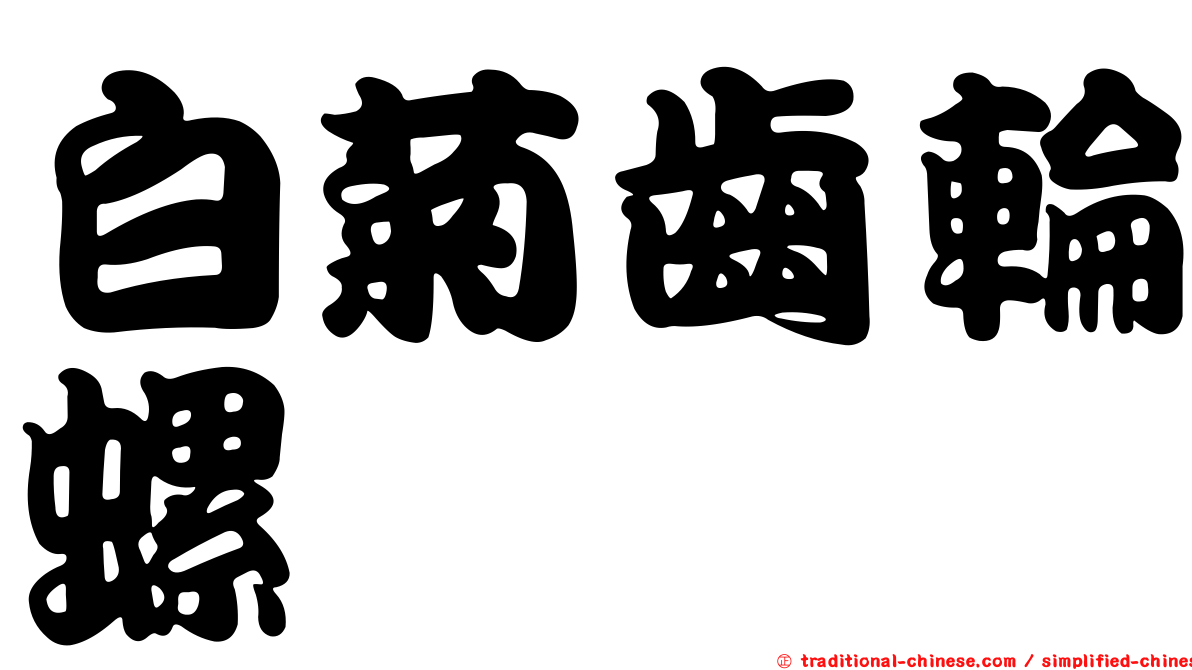 白菊齒輪螺