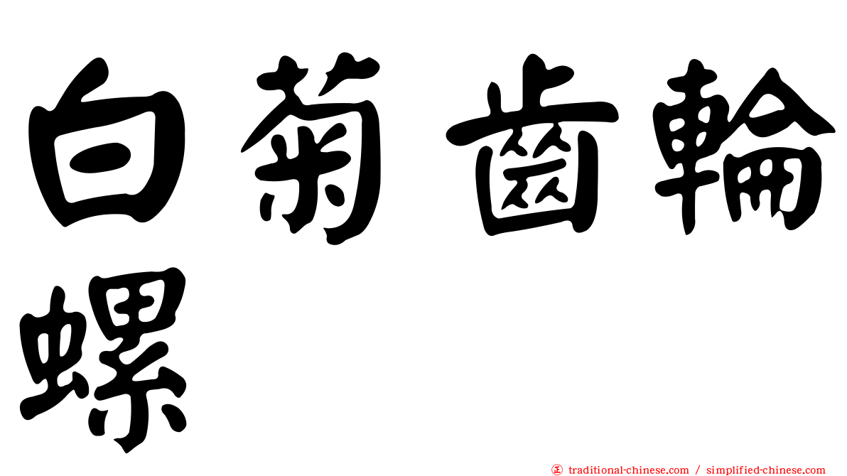 白菊齒輪螺