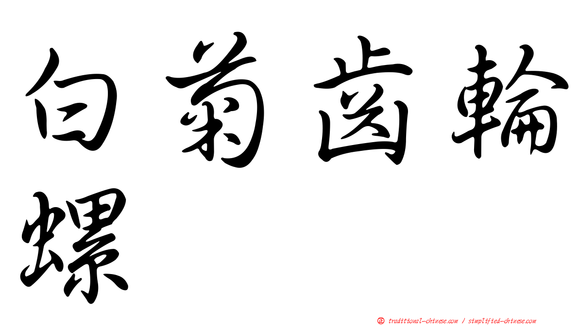 白菊齒輪螺