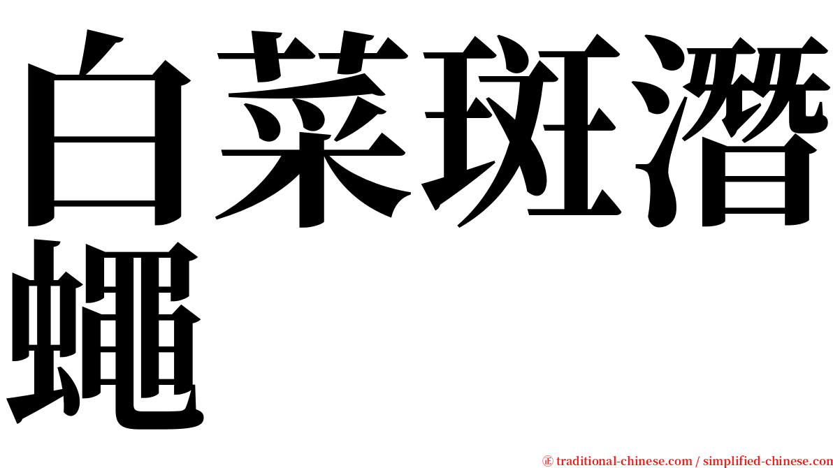 白菜斑潛蠅 serif font