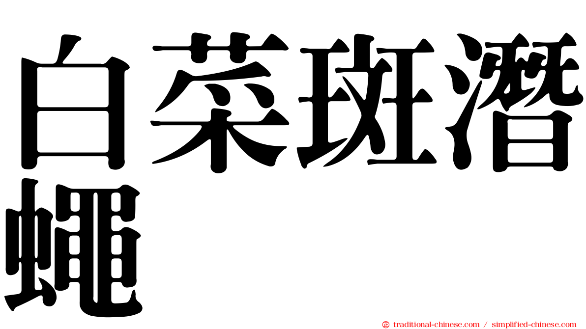白菜斑潛蠅
