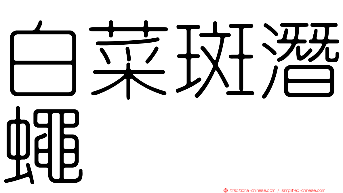 白菜斑潛蠅