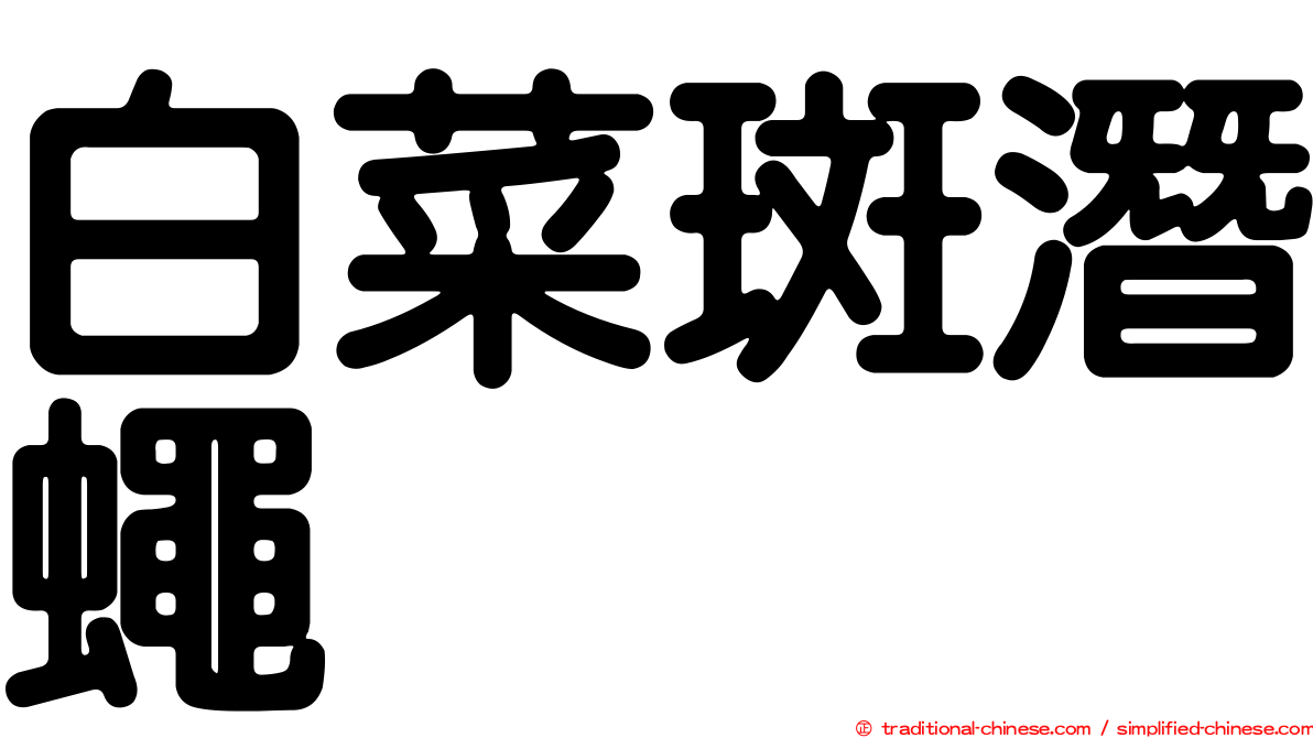白菜斑潛蠅
