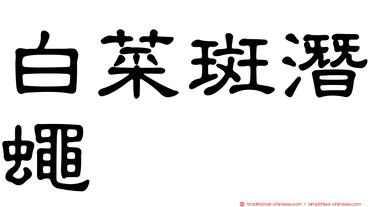 白菜斑潛蠅
