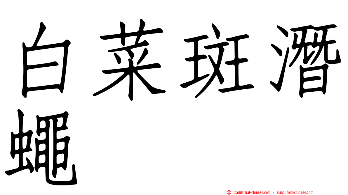 白菜斑潛蠅