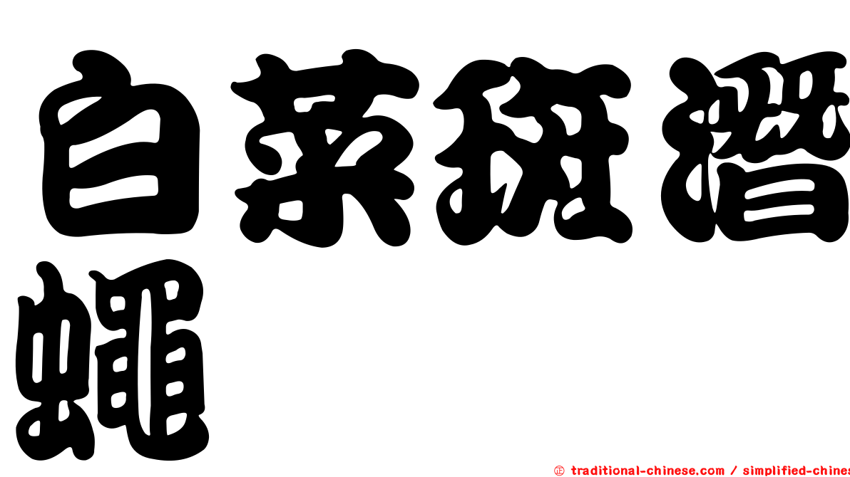 白菜斑潛蠅