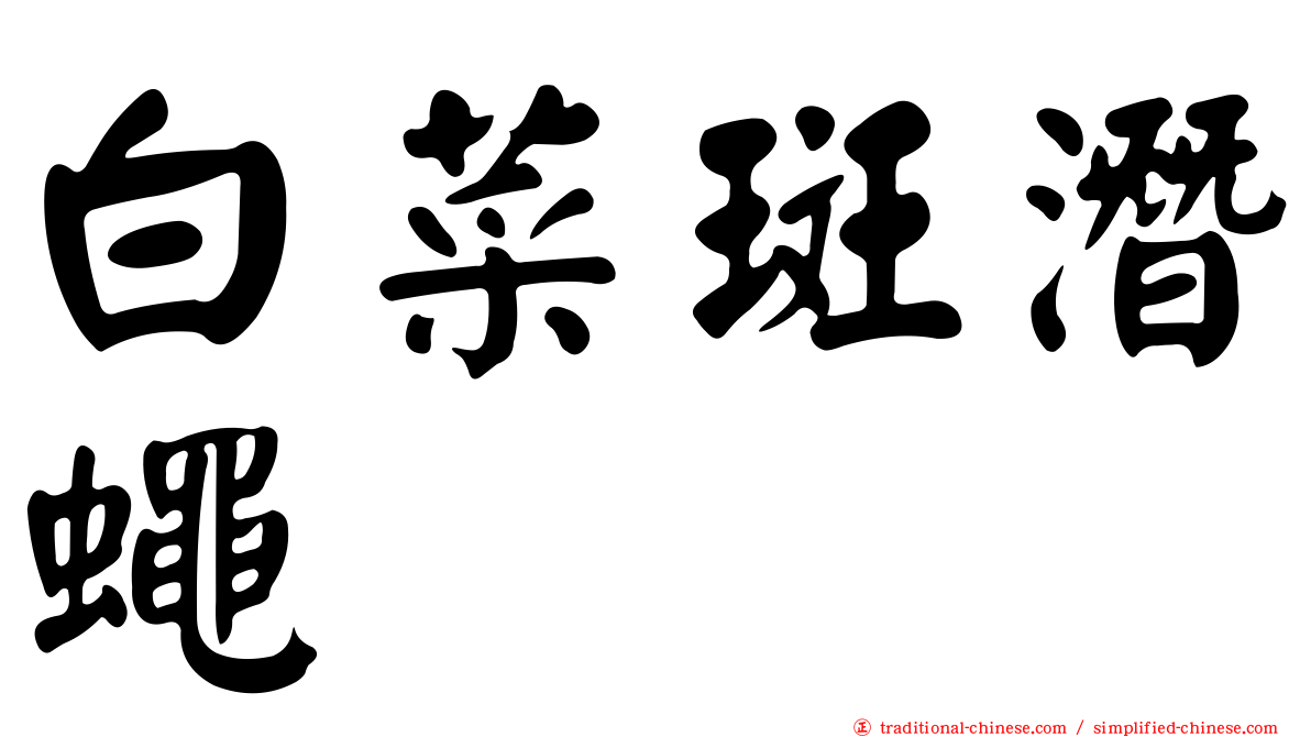 白菜斑潛蠅