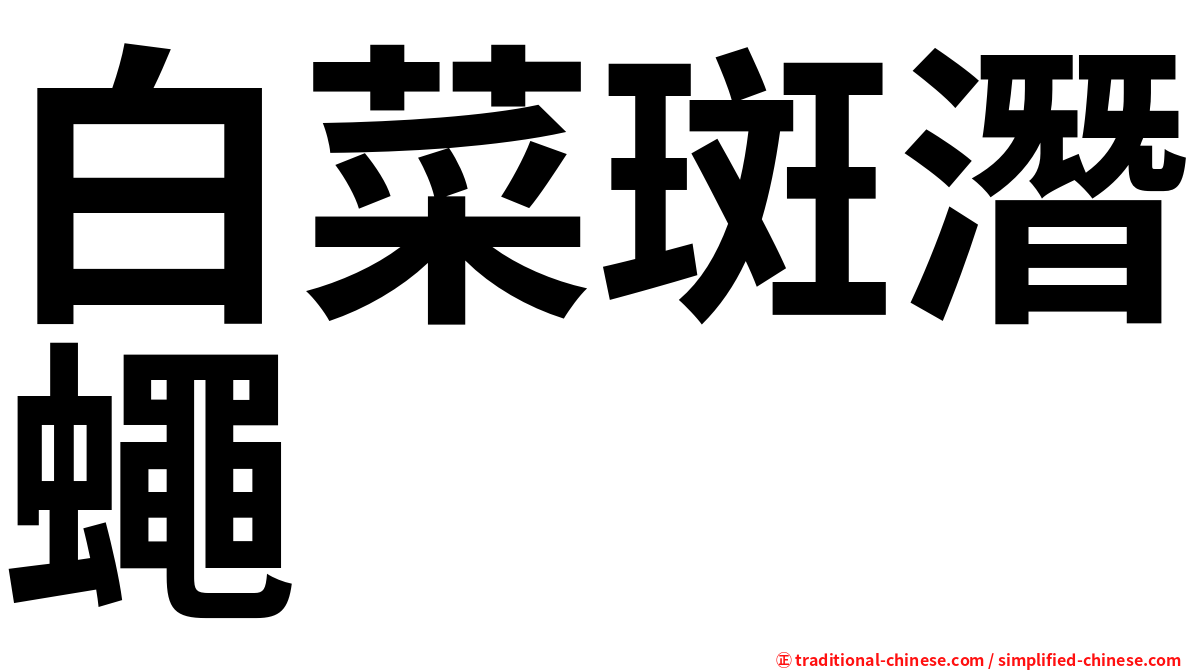 白菜斑潛蠅