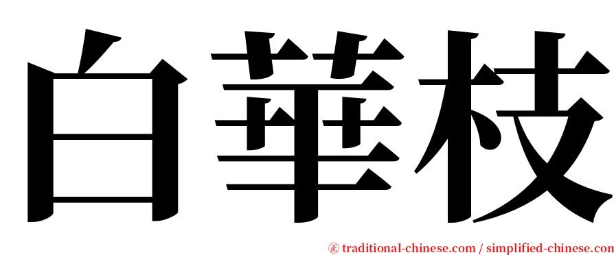 白華枝 serif font