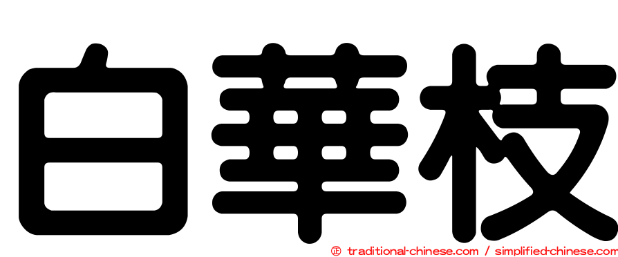 白華枝