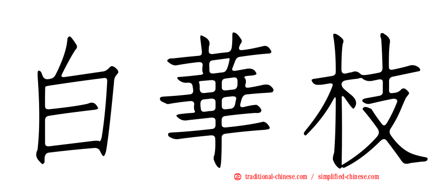 白華枝