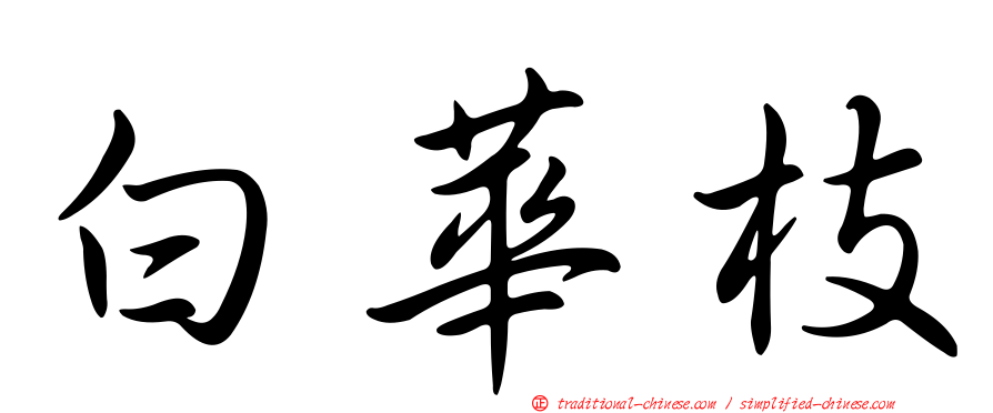 白華枝