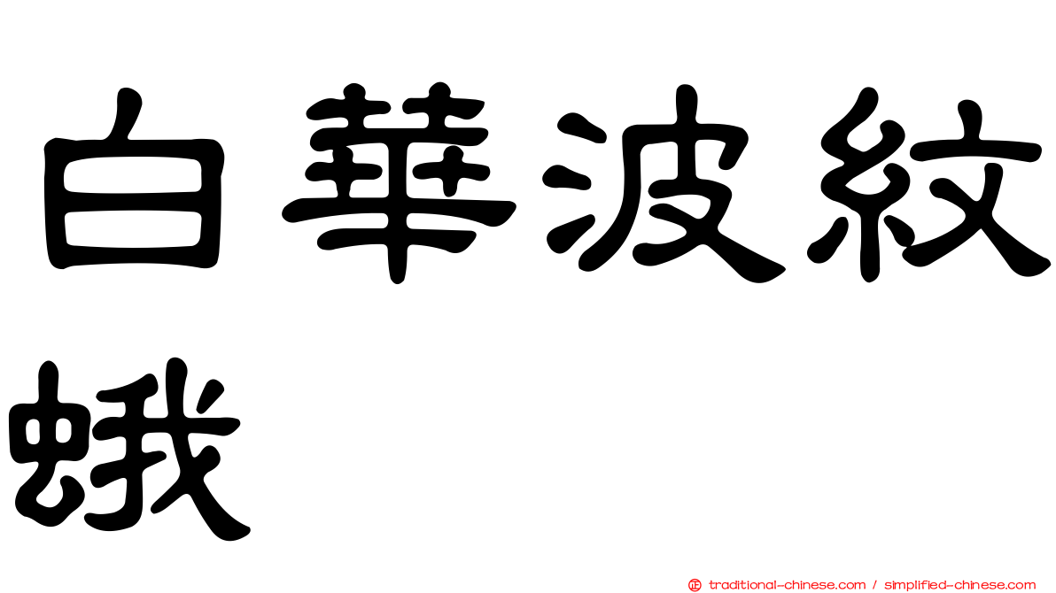 白華波紋蛾
