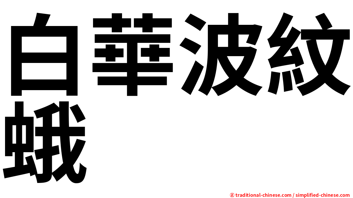 白華波紋蛾
