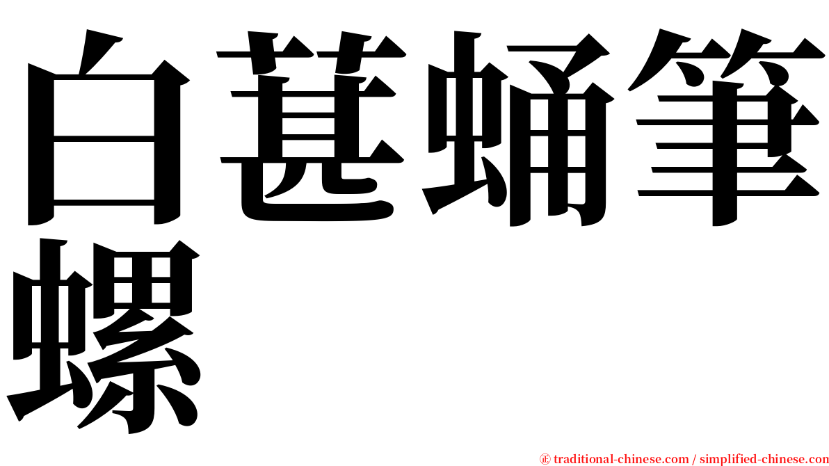 白葚蛹筆螺 serif font