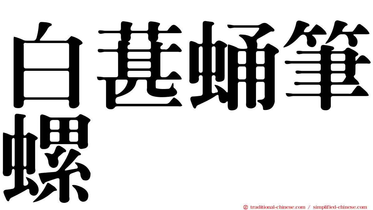 白葚蛹筆螺