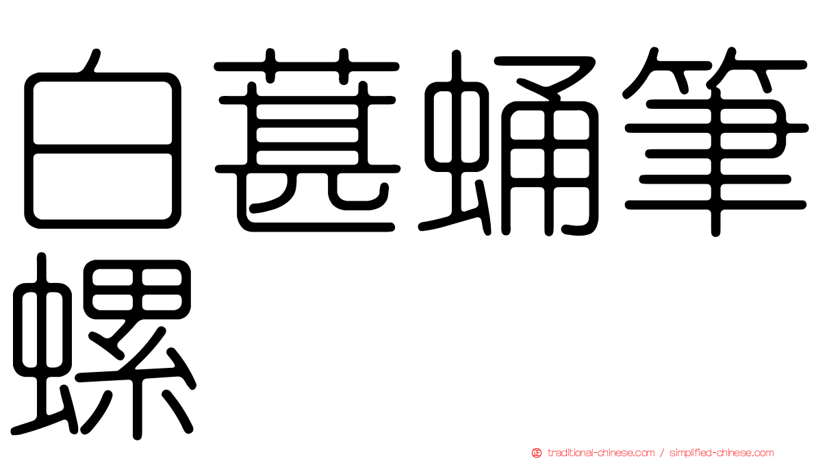 白葚蛹筆螺