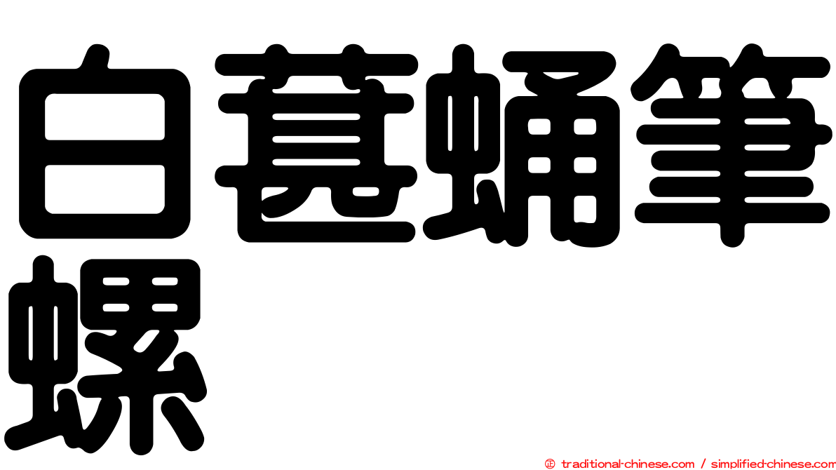 白葚蛹筆螺