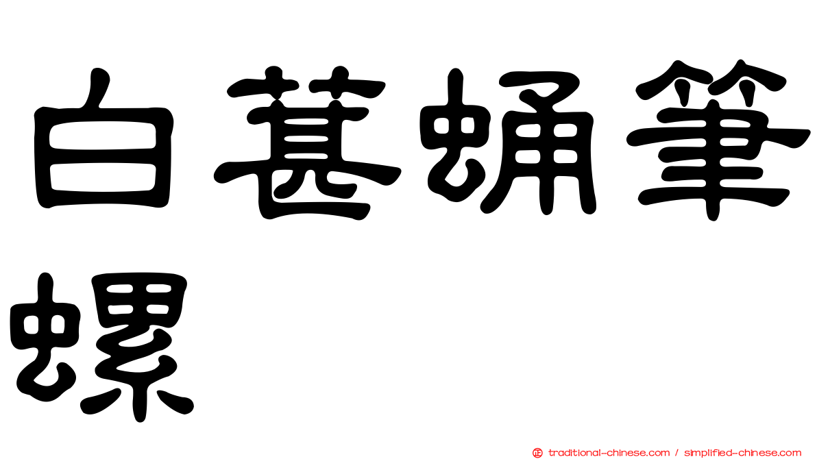 白葚蛹筆螺