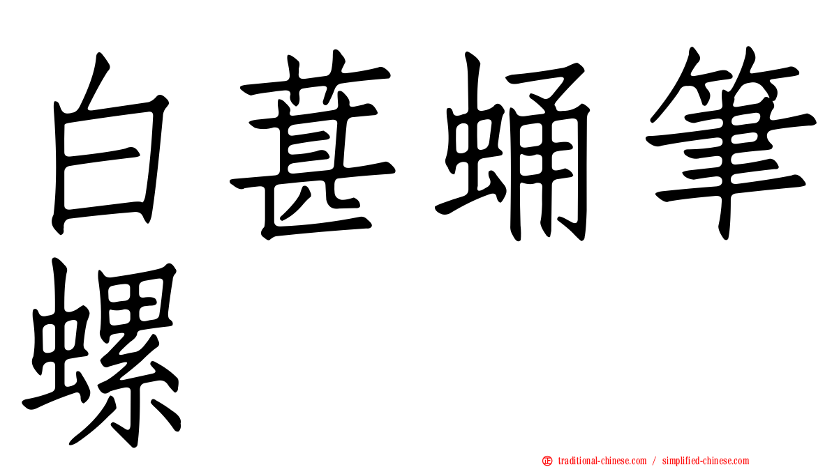 白葚蛹筆螺