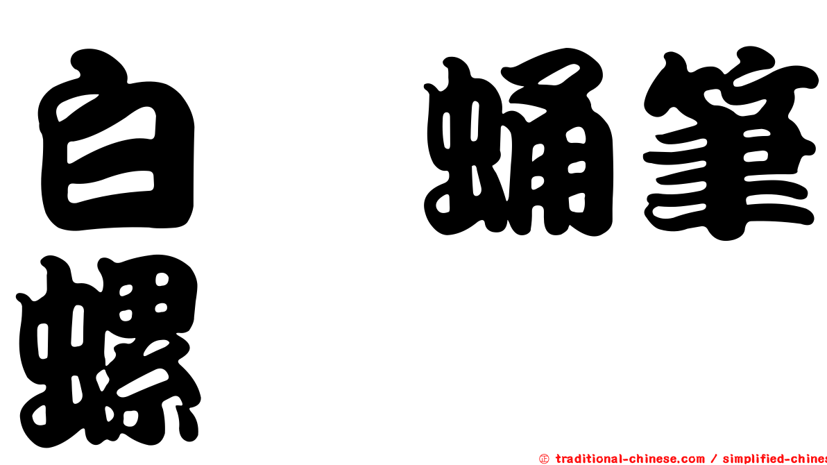 白葚蛹筆螺