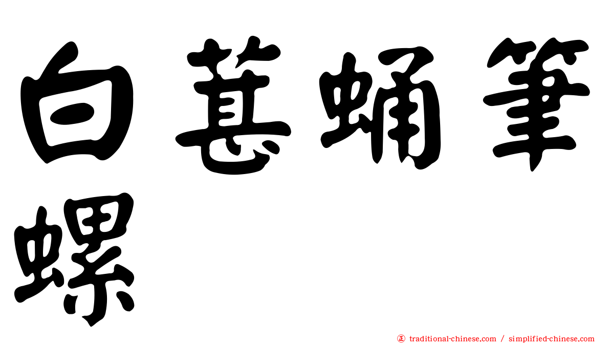 白葚蛹筆螺