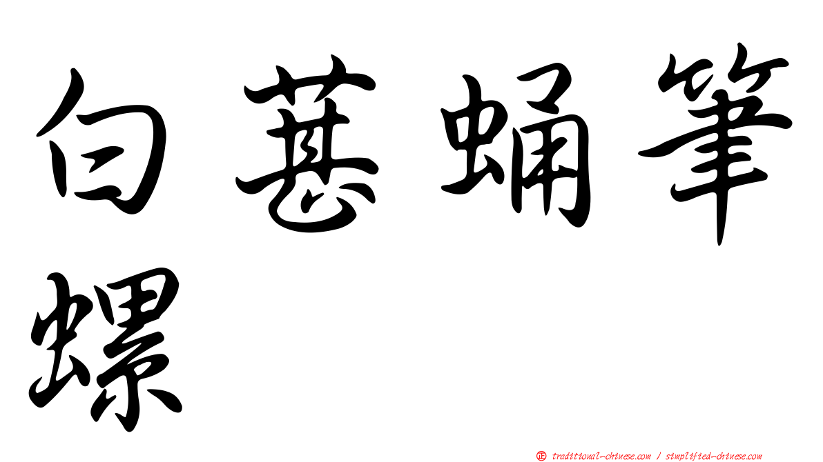 白葚蛹筆螺