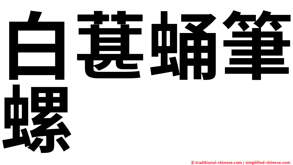 白葚蛹筆螺
