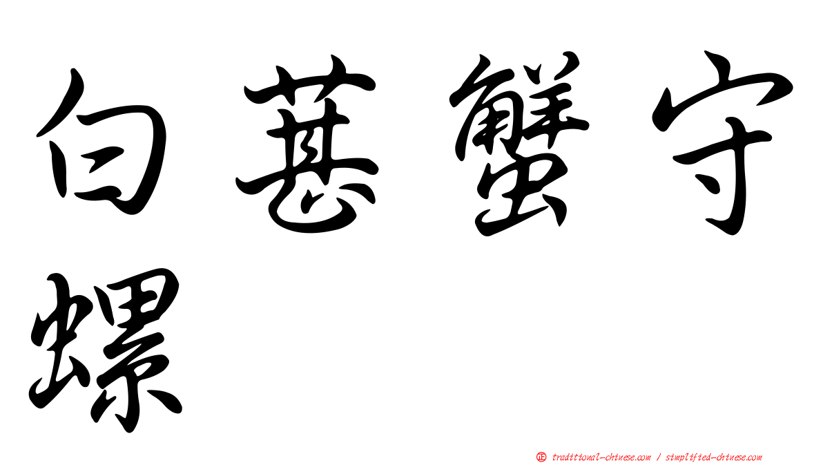 白葚蟹守螺