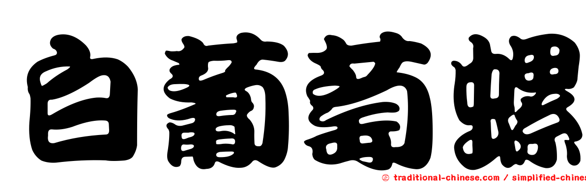 白葡萄螺