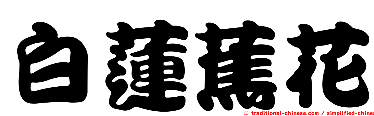 白蓮蕉花