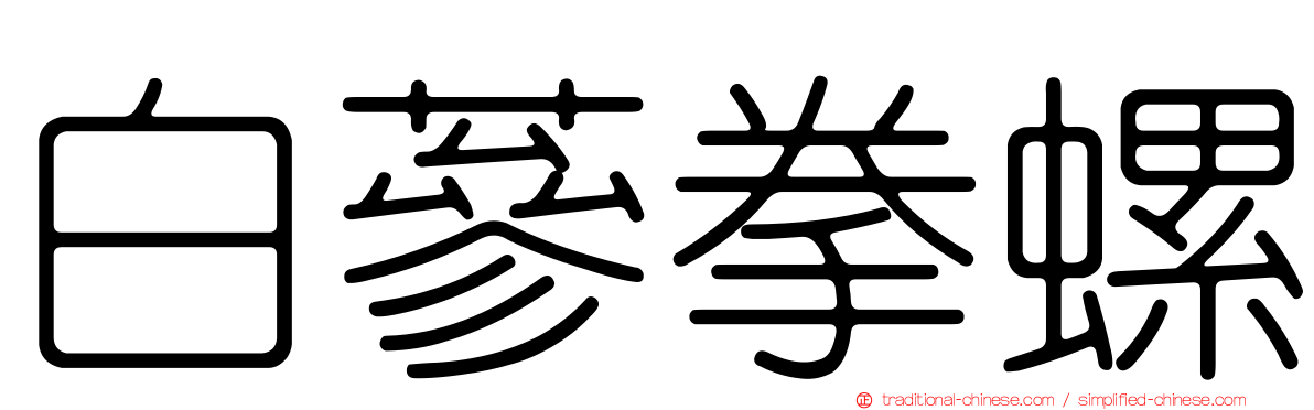 白蔘拳螺