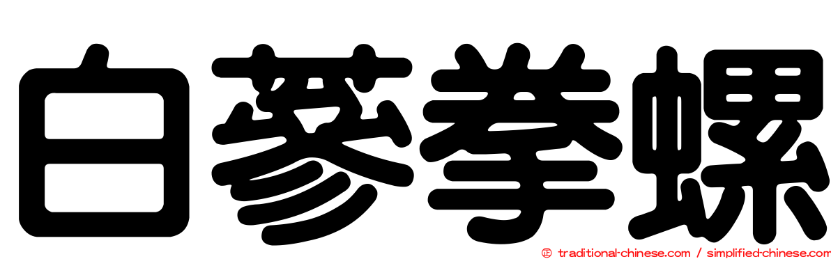 白蔘拳螺