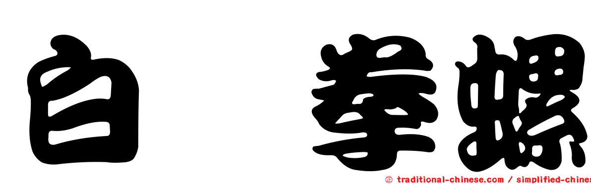 白蔘拳螺