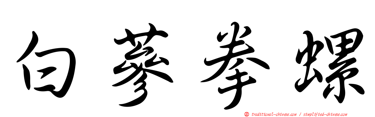 白蔘拳螺