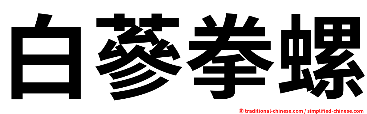 白蔘拳螺