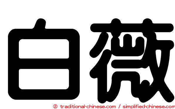 白薇