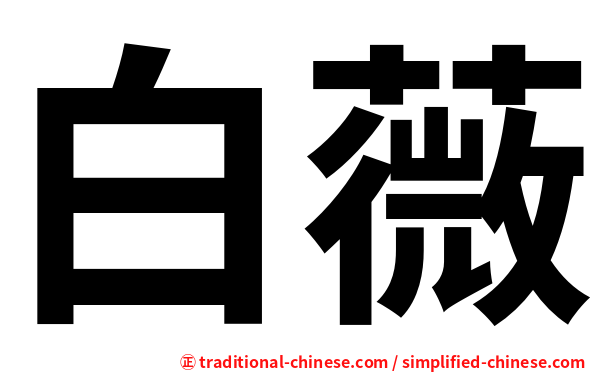 白薇